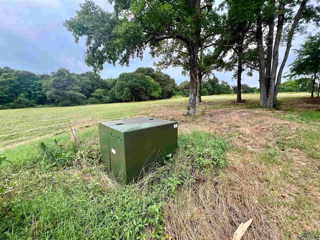 WEST FITZGERALD - Land