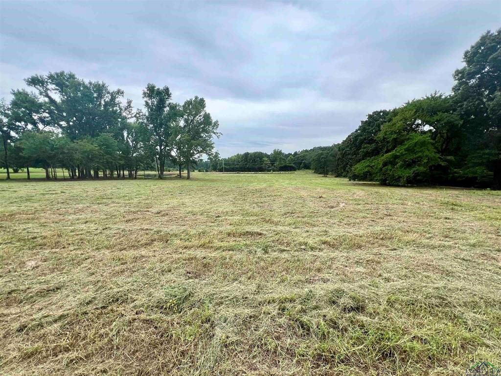 WEST FITZGERALD - Land