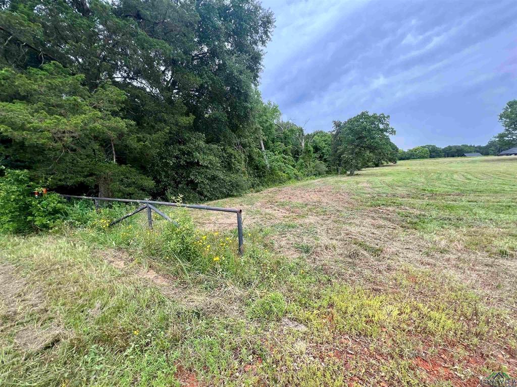 WEST FITZGERALD - Land