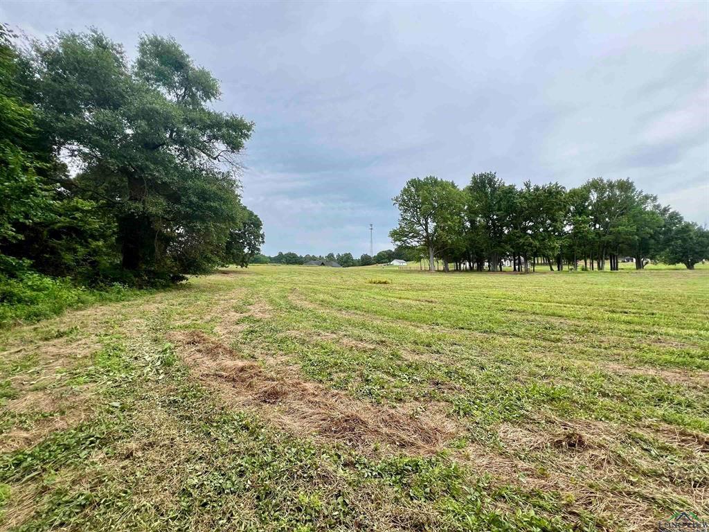 WEST FITZGERALD - Land