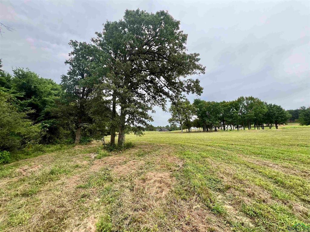 WEST FITZGERALD - Land