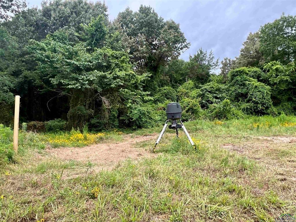 WEST FITZGERALD - Land