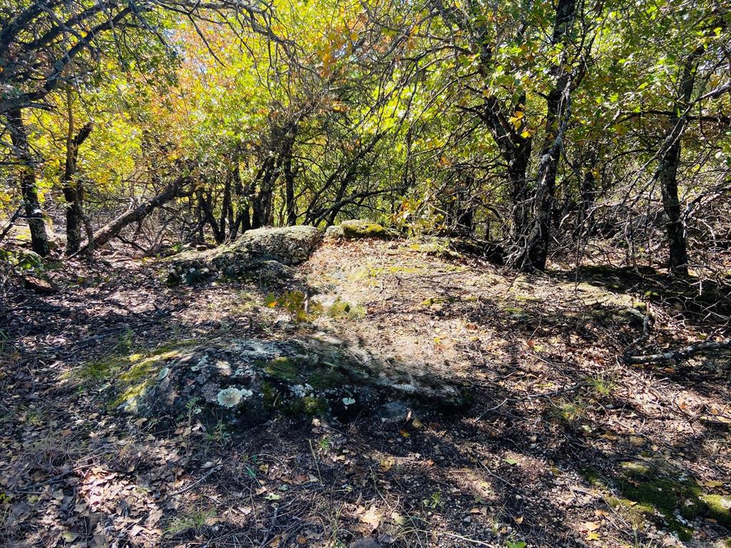 Lot 457 Lakeside Drive