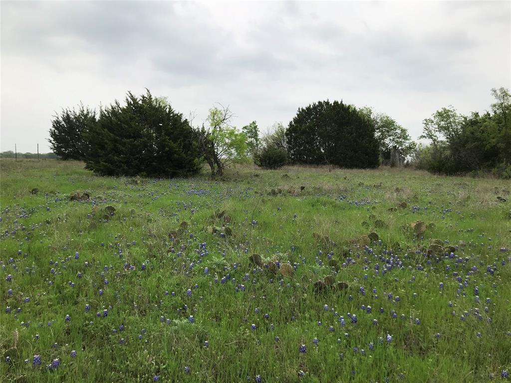 White Bluff #34 - Land