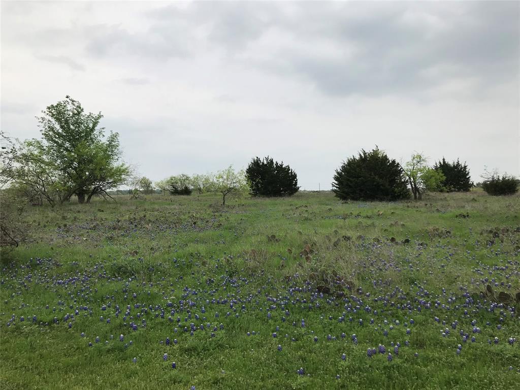 White Bluff #34 - Land