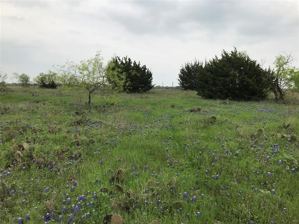 White Bluff #34 - Land