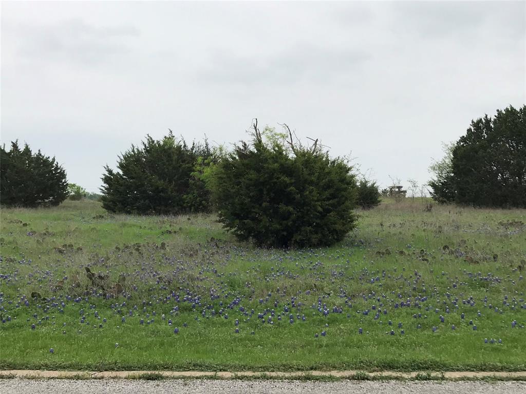 White Bluff #34 - Land