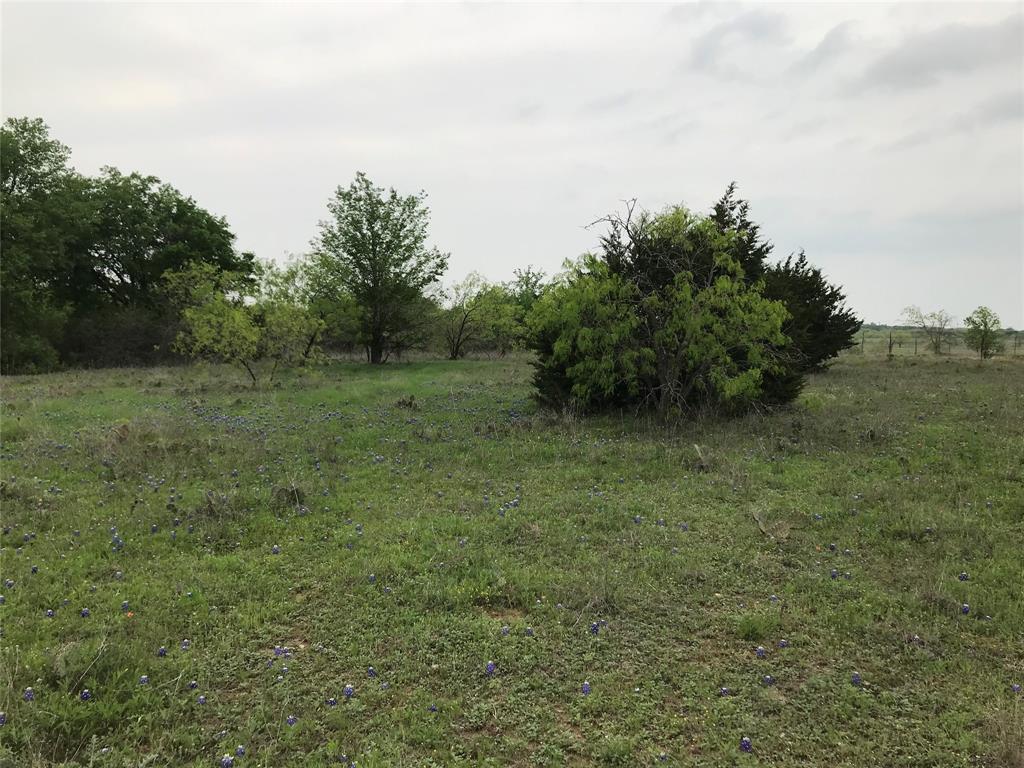 White Bluff #34 - Land