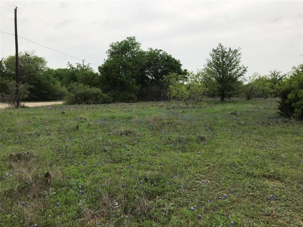 White Bluff #34 - Land