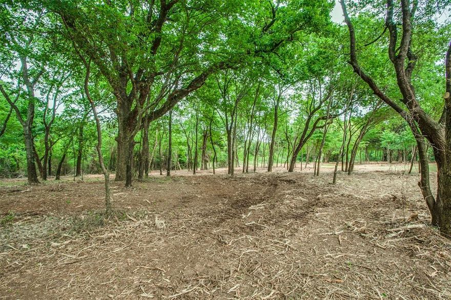 Rare opportunity to purchase a breathtaking, untapped 22.79 acre tract located just minutes from Lake Ray Roberts and Isle du Bois State Park. Adjacent to historic Valor Farms and surrounded on all sides by pristine equestrian estates, this property offers both privacy and long-term potential in one of North Texas’ most desirable corridors. With paved frontage along FM 455 and an 8-inch water line at the street, the land presents exceptional flexibility — ideal for a developer or the creation of a premier estate. Gently rolling topography, 100+ year-old oak trees, sandy loam soil create a setting that is both functional and picturesque. The established trees provide natural privacy and depth throughout the property. Mustang Water available at the street. Current Wildlife Exemption in place offering lower property taxes. Easy access to US 380 and the DFW Metroplex and only minutes to charming historic downtown Pilot Point. 45 minutes to DFW International Airport. Additional 37 acres available see MLS 21176353. No flood plain.