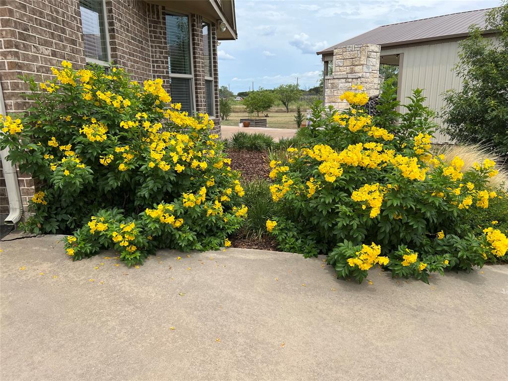 Hills Above Possum Kingdom - Residential