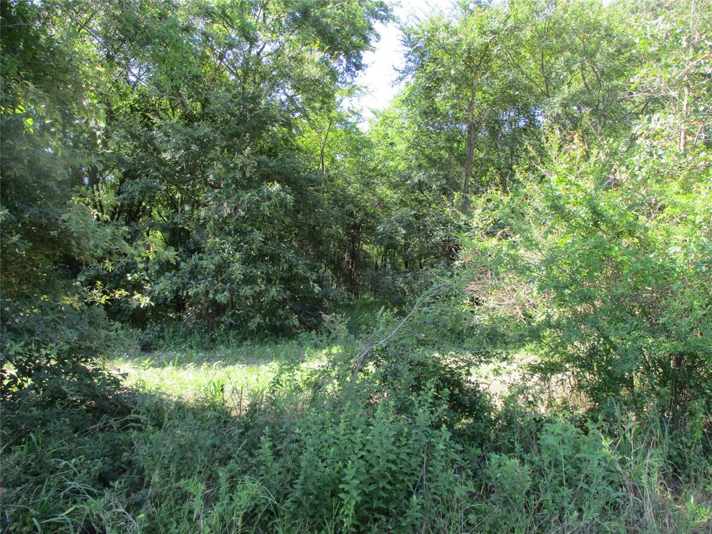 TBD RS County Road 3220