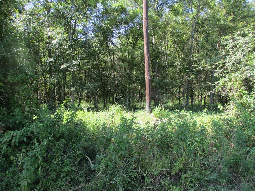 TBD RS County Road 3220