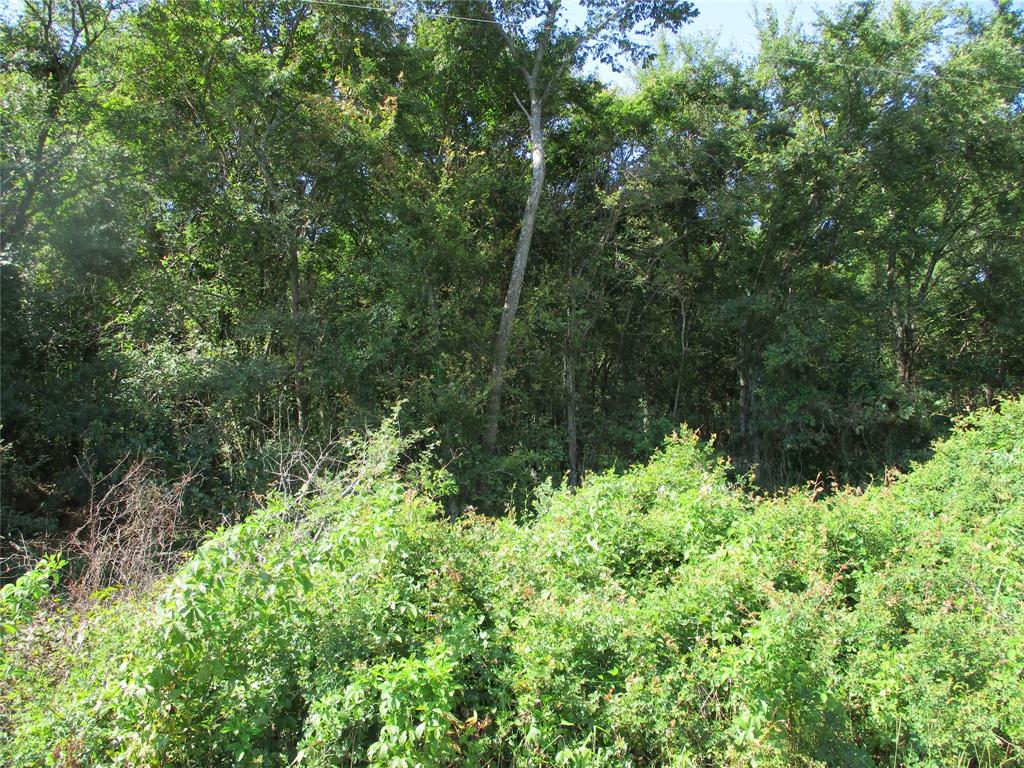 TBD RS County Road 3220