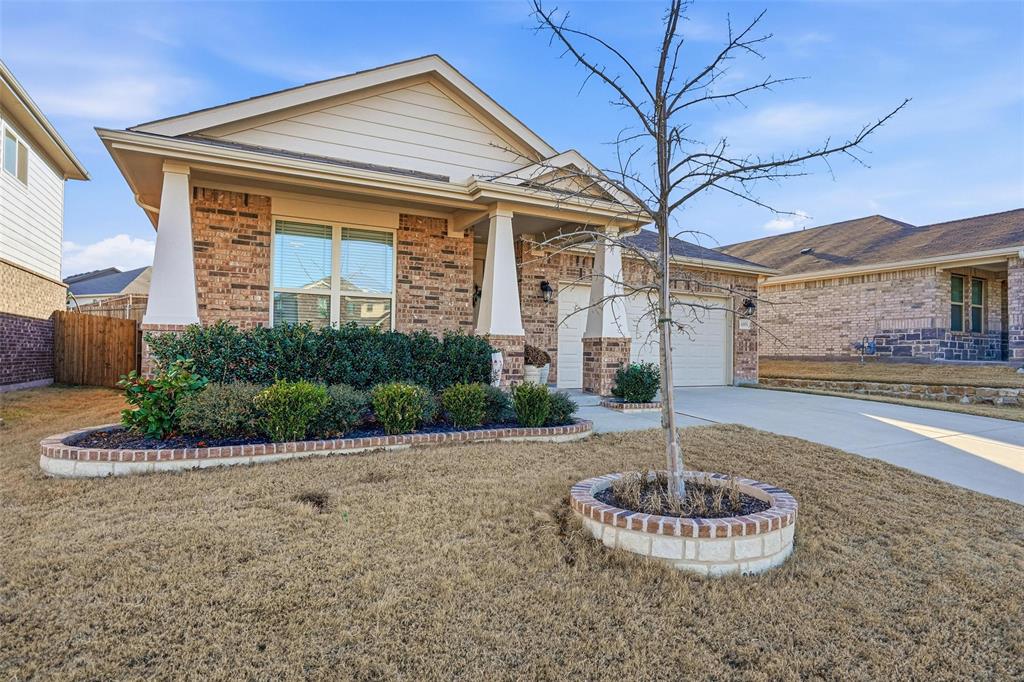 Palmilla Springs - Residential