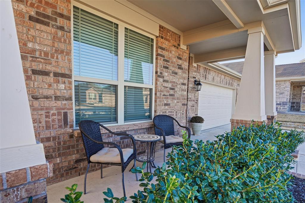 Palmilla Springs - Residential