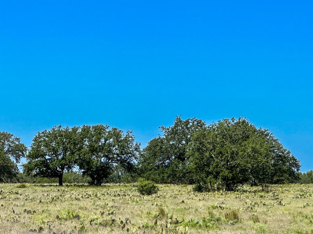 Ranches At Blackbuck Ridge - Land