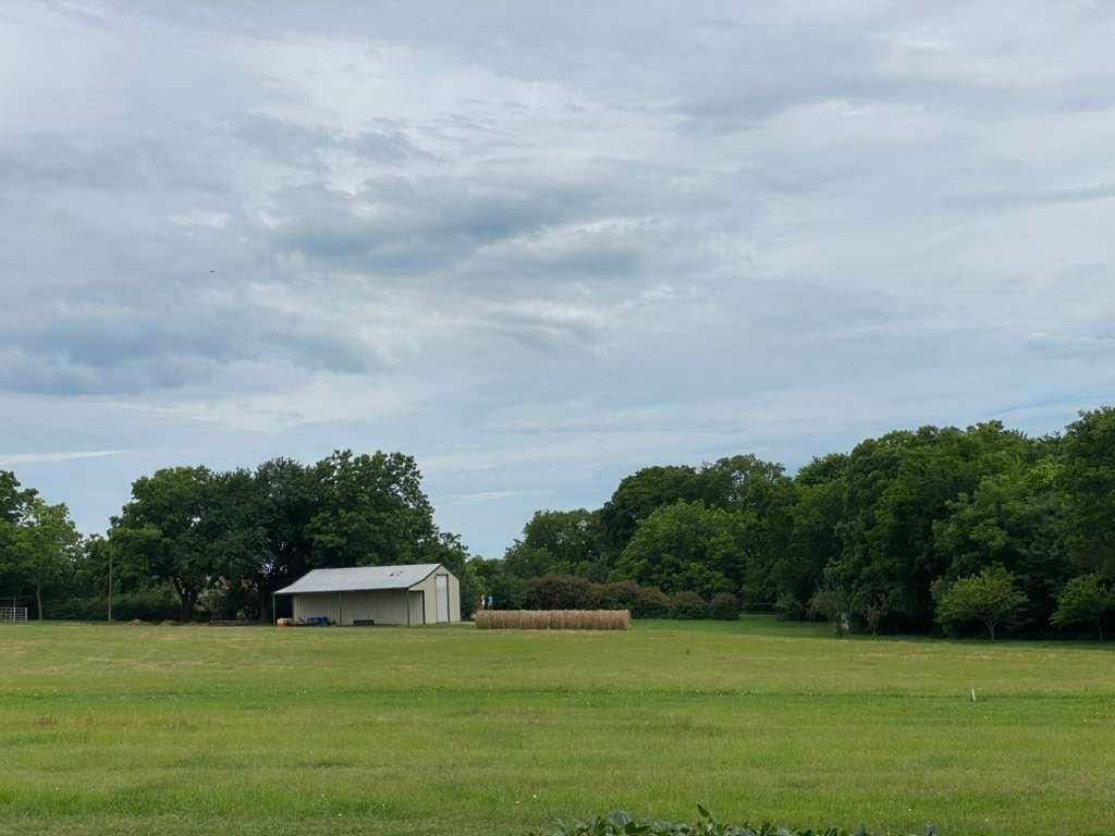 D Van Winkle Survey - Land