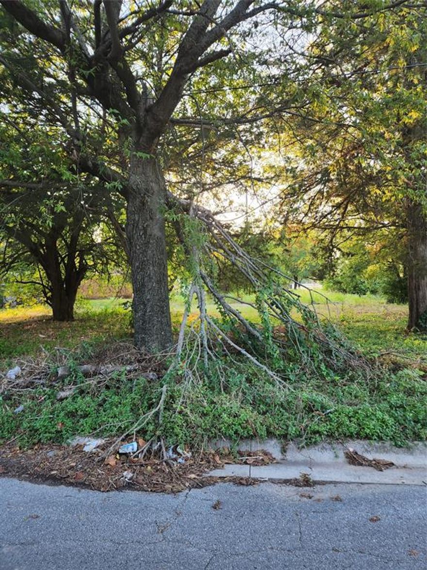 This lot is ready for you to build to your heart's content! With available city electricity, sewer, and water you can design your home in this mature neighborhood close to historic downtown Gainesville, TX.  Just a 5-minute drive from local shops and conveniences this community is a great place for that small town feel close to a big lake recreation experience at Lake Ray Roberts and Ray Roberts State Park.

This is a great investment opportunity as the sellers would like to sell this property as an adjacent package with the lots at 730 Field Street and 735 Buck Street at a reduced sales price of $113,500.00.  You also have the opportunity to purchase this lot, 731 Buck Street, 735 Buck Street, and 1213 Mill Street for $186,250.00 while the opportunity lasts.  This opportunity won't last long so make your offer today!