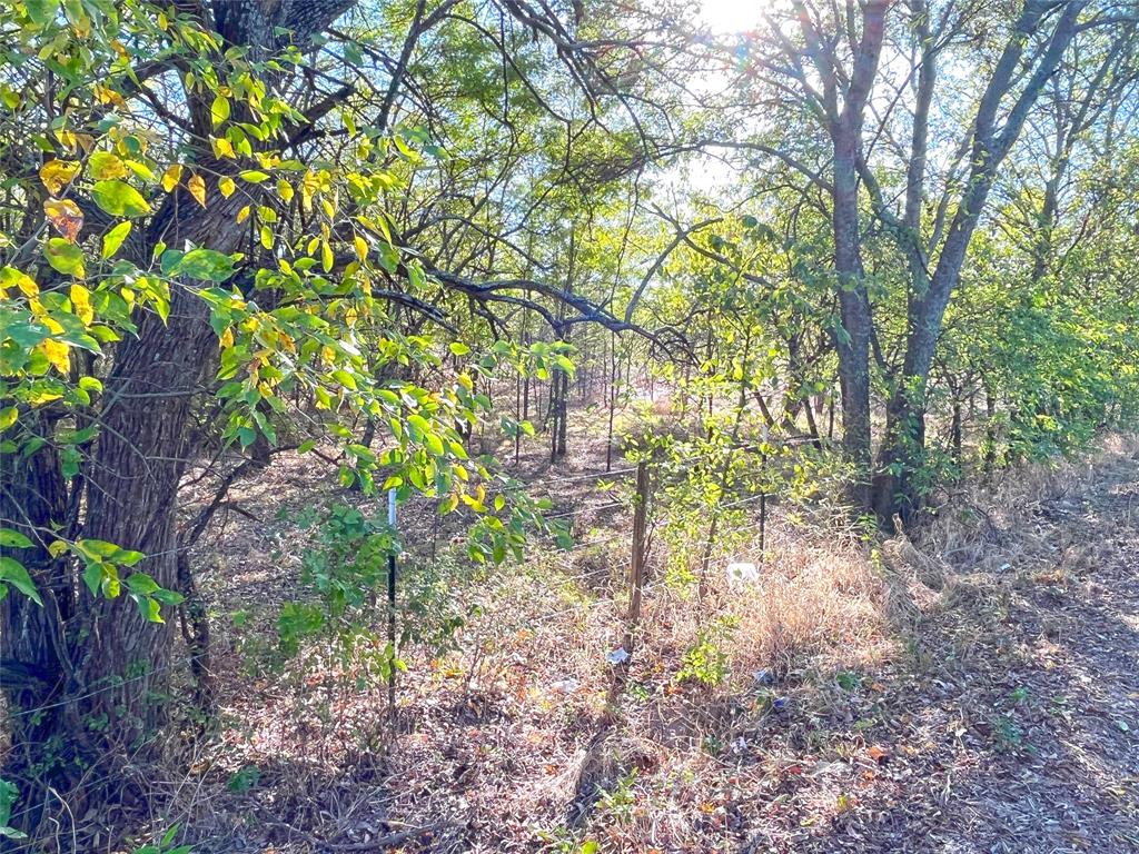 Jackson Coleman Indust Sub - Land