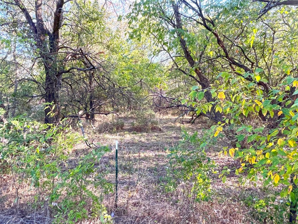 Jackson Coleman Indust Sub - Land