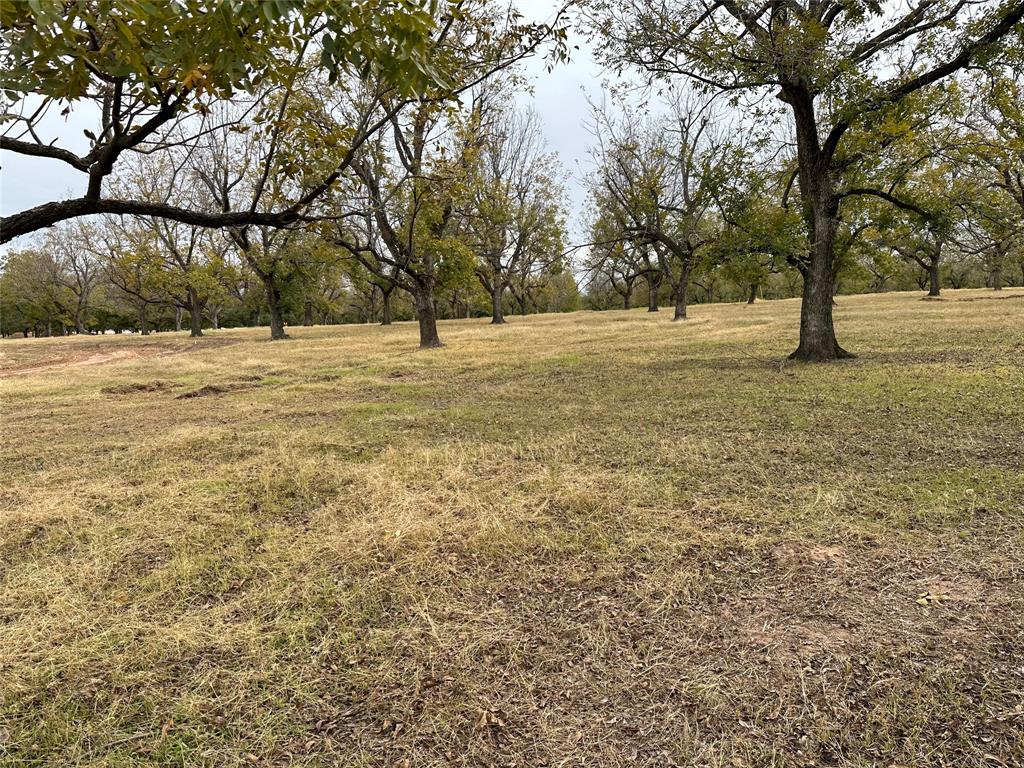 Pecan Plantation - Land