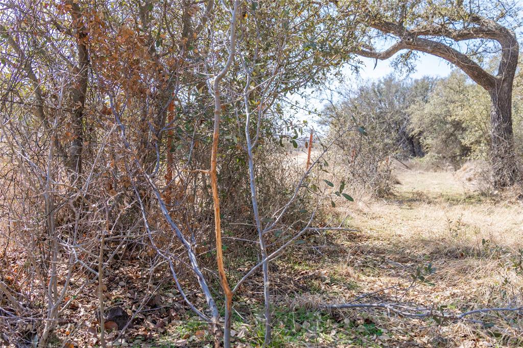 R Henderson 162 - Farm