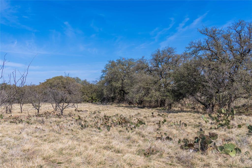 R Henderson 162 - Farm