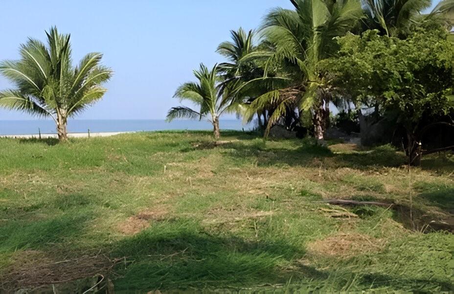 RIVERA NAYARI - Land