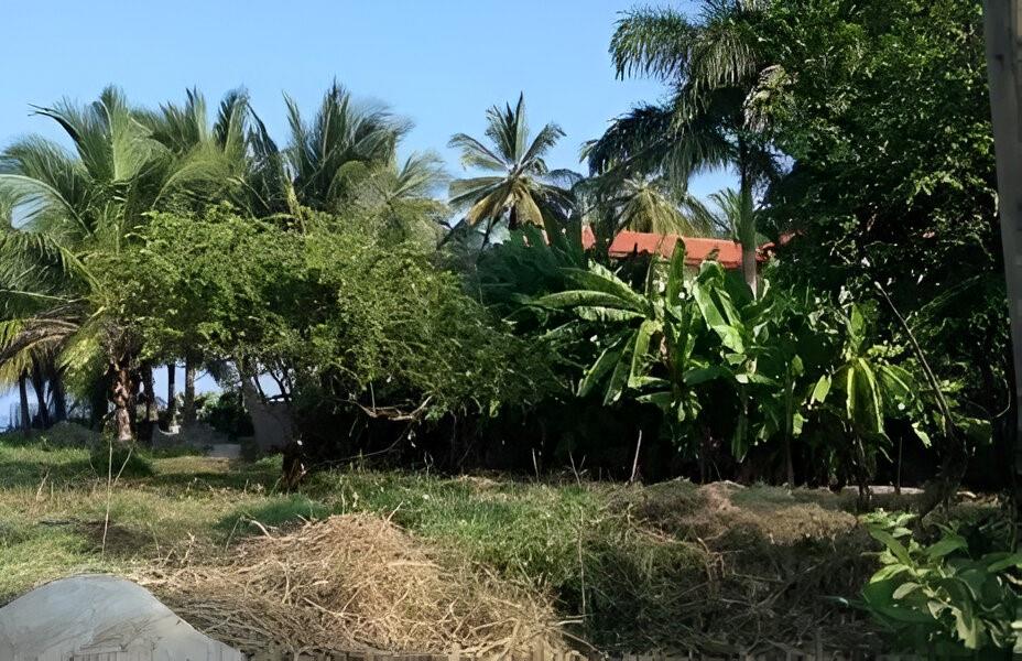 RIVERA NAYARI - Land