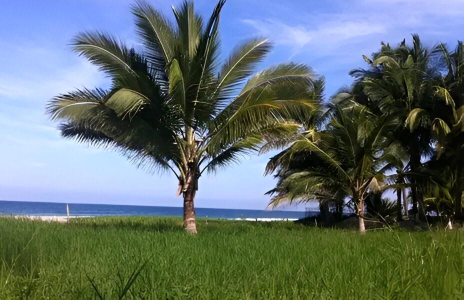 RIVERA NAYARI - Land