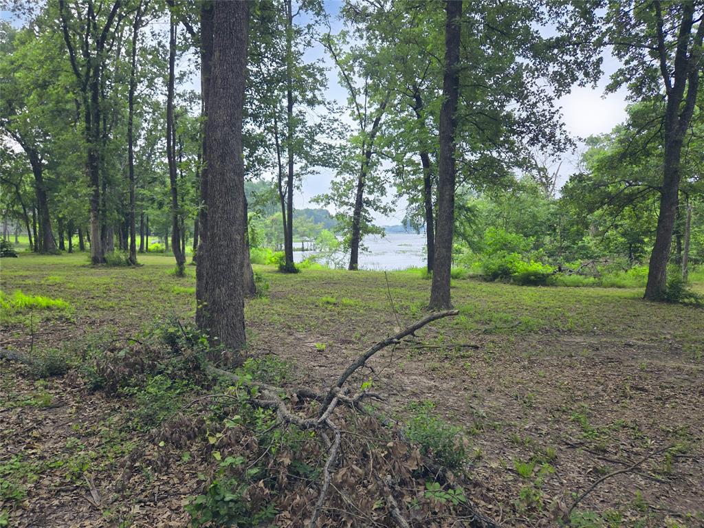 The Shores On Richland Chamb - Land