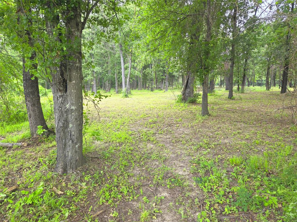 The Shores On Richland Chamb - Land