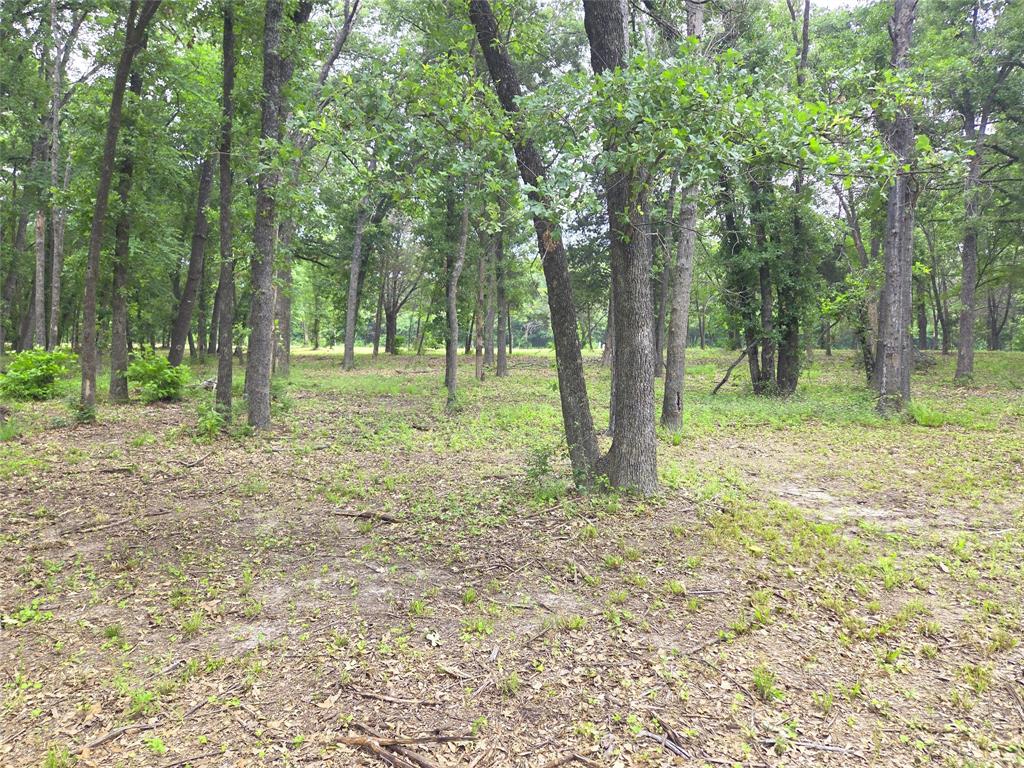 The Shores On Richland Chamb - Land