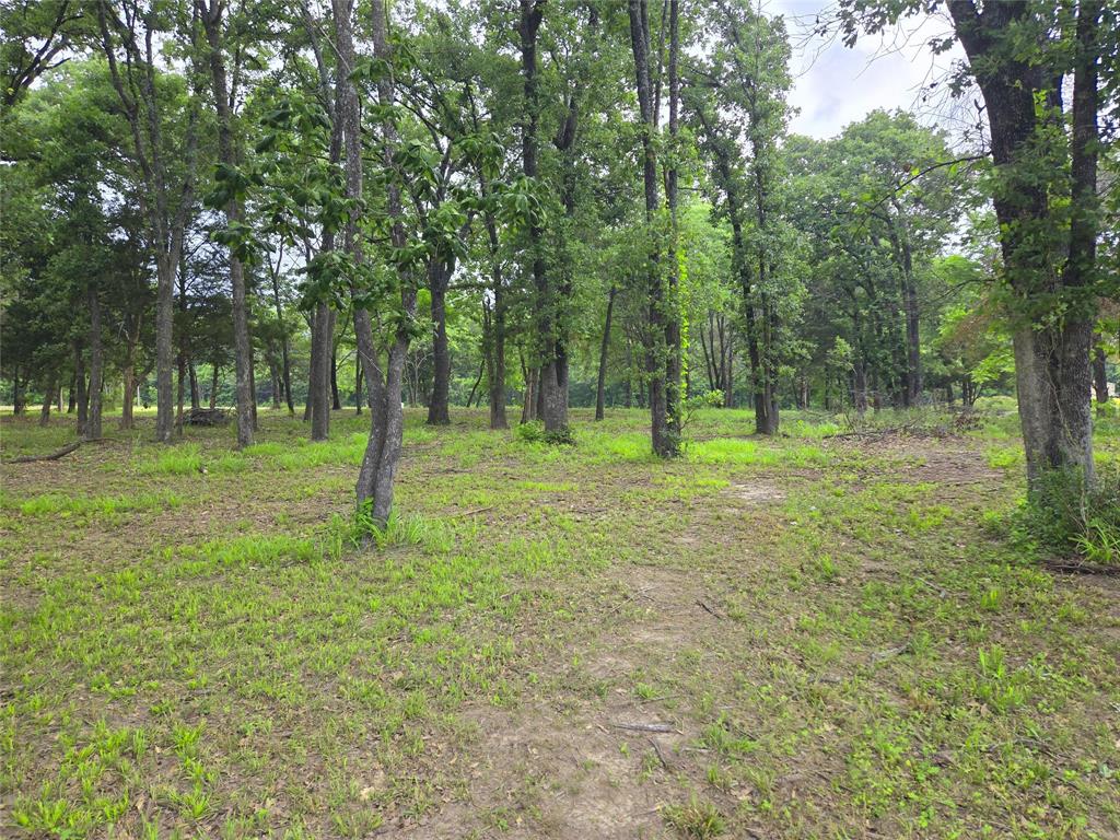 The Shores On Richland Chamb - Land