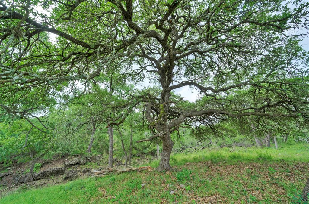 Bridle Wood Ranches Sec 1 - Farm