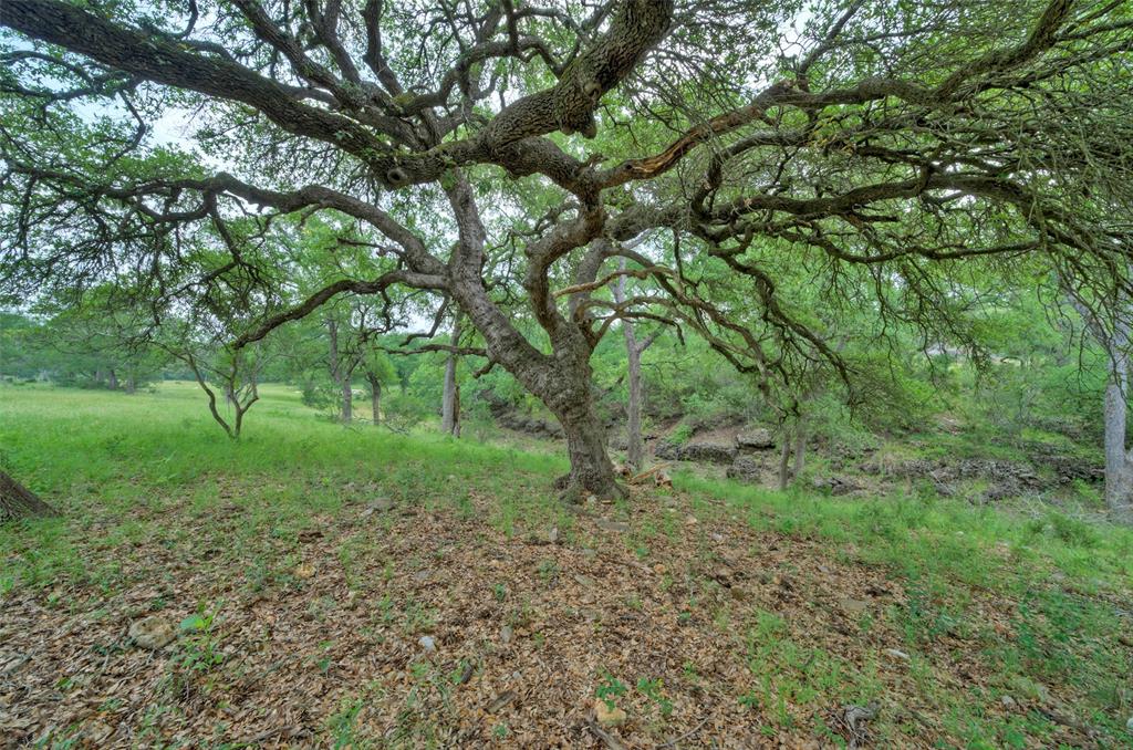 Bridle Wood Ranches Sec 1 - Farm