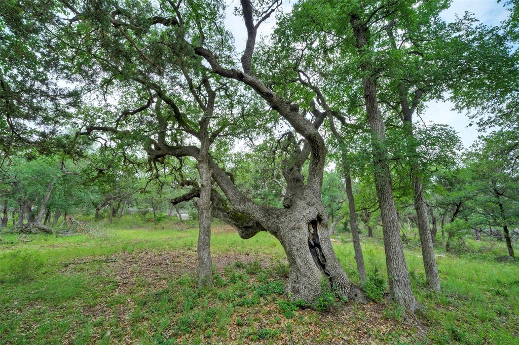 Bridle Wood Ranches Sec 1 - Farm