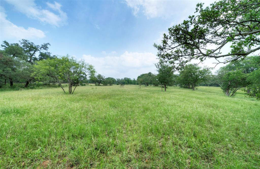 Bridle Wood Ranches Sec 1 - Farm