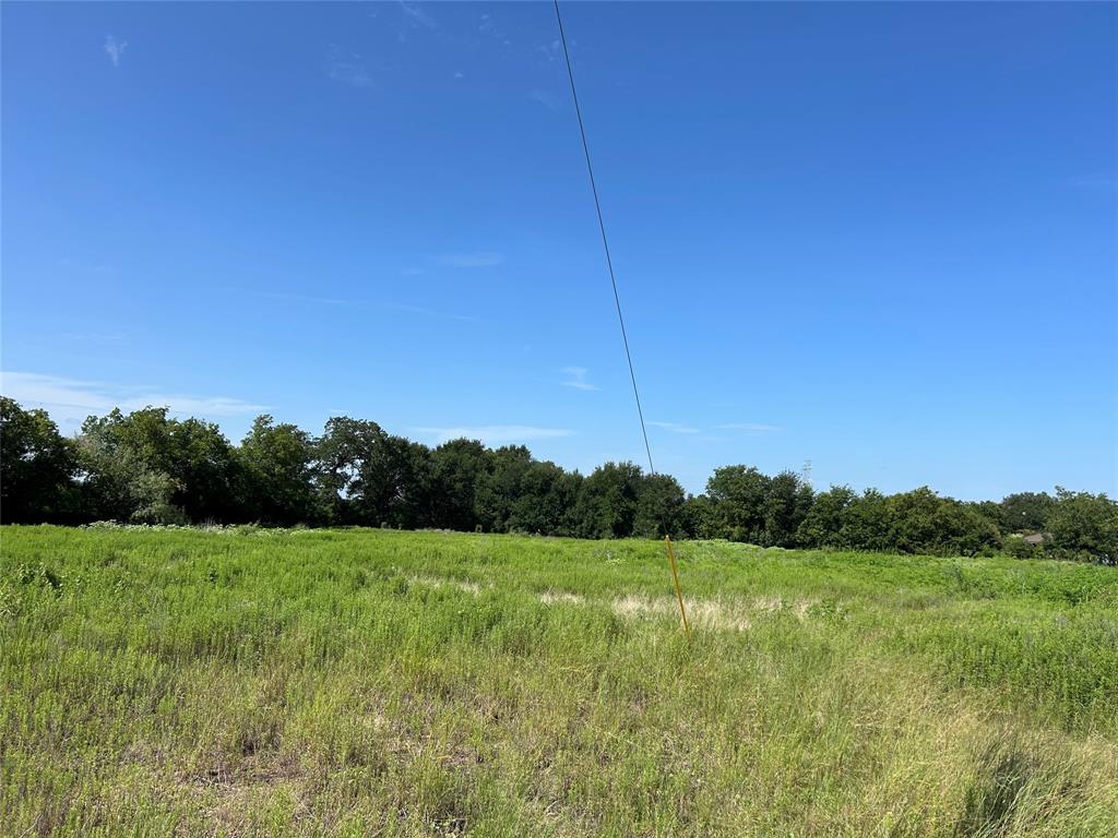 Ross Evergreen - Land