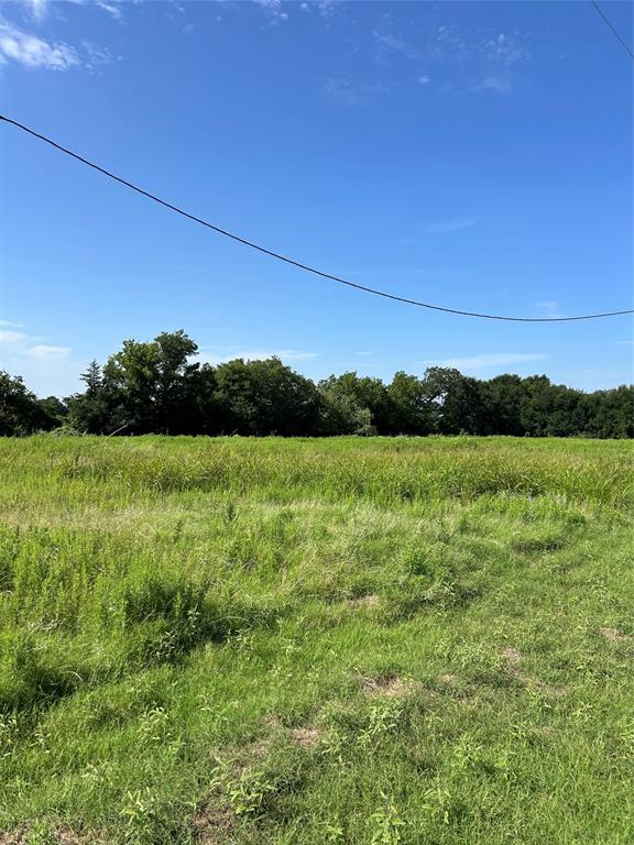 3659 N Katy Road
