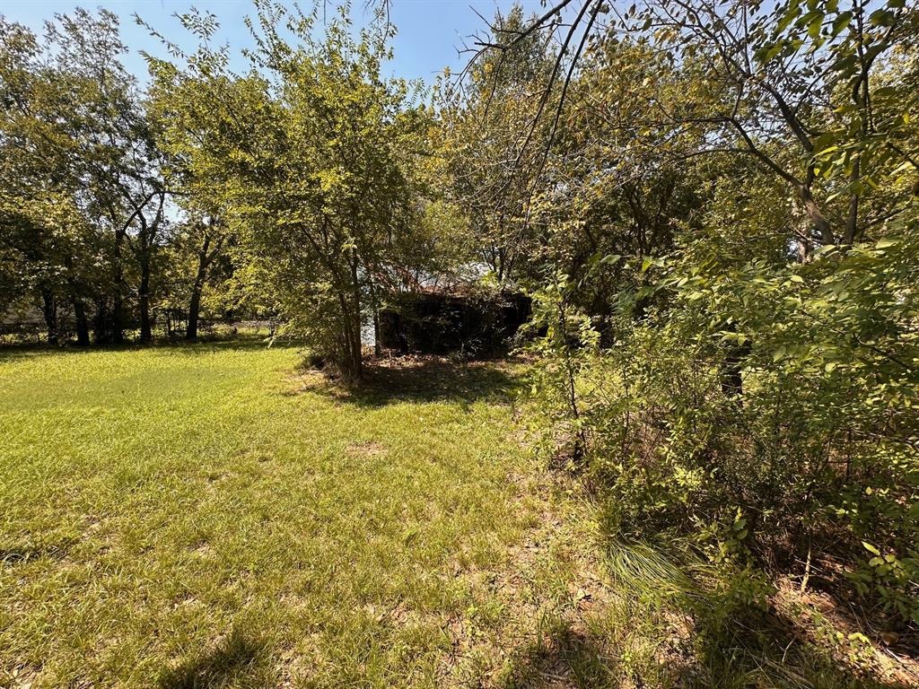 Original Town Of Ladonia - Residential