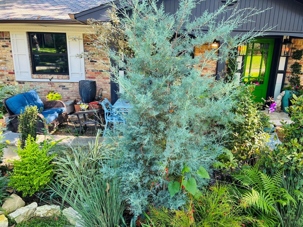 9011 Fringewood Drive