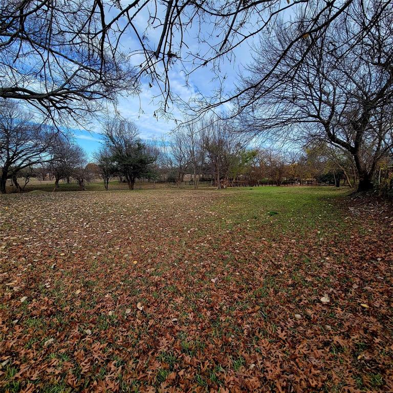 Clayton Rogers Survey - Land