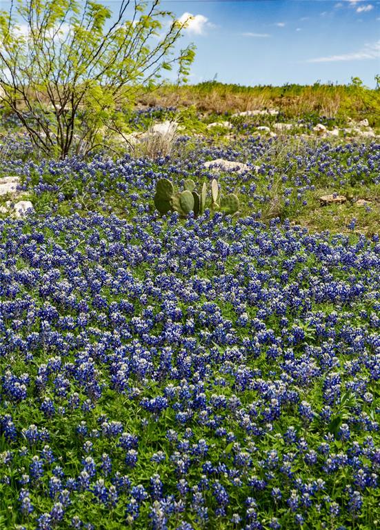 Bella Flora - Residential