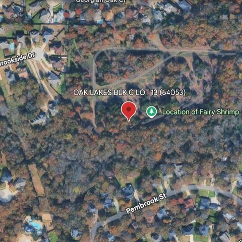 TBD Briarwood Lake Dallas TX 75065