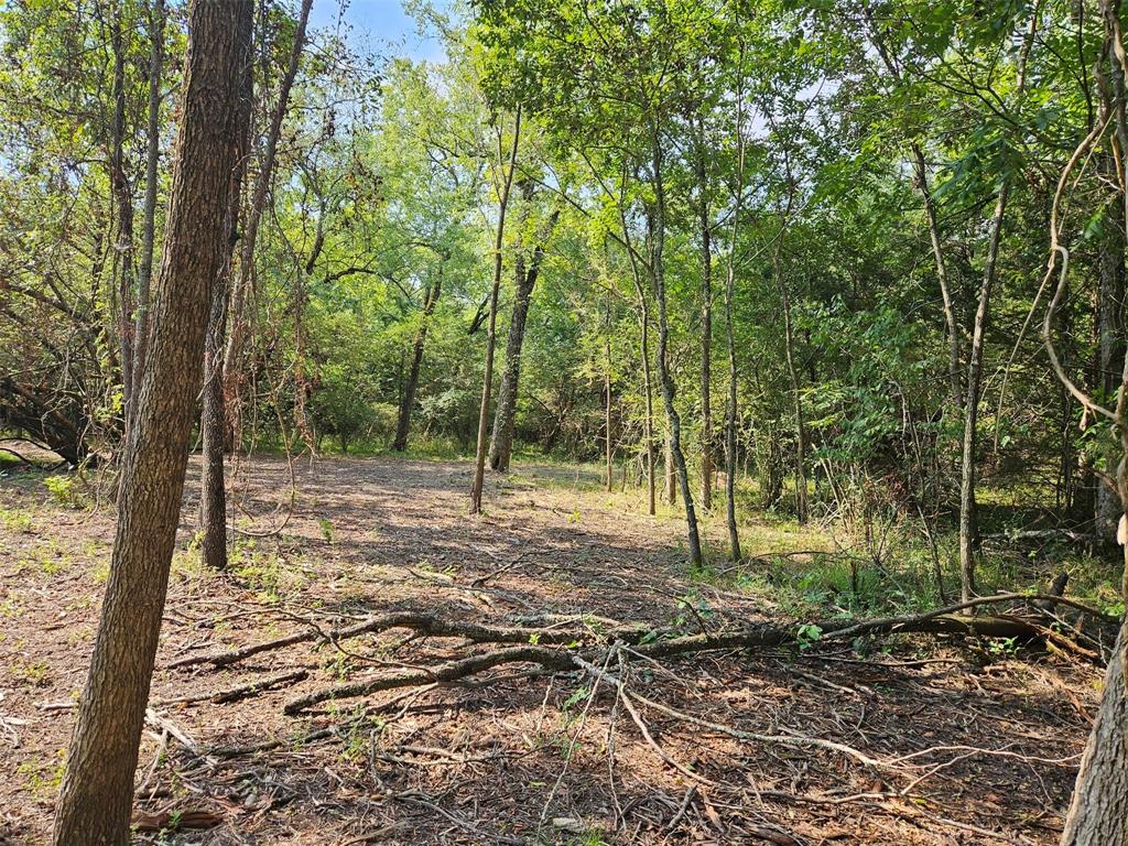 The Ranches at Harvest Hill - Land