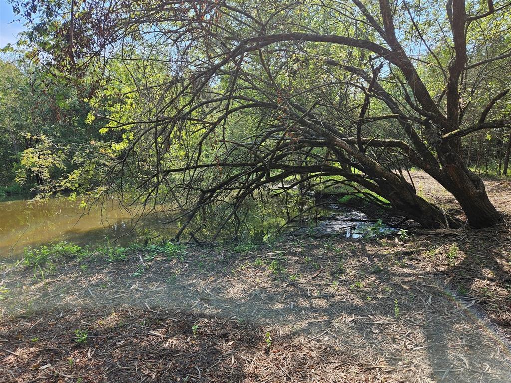 The Ranches at Harvest Hill - Land