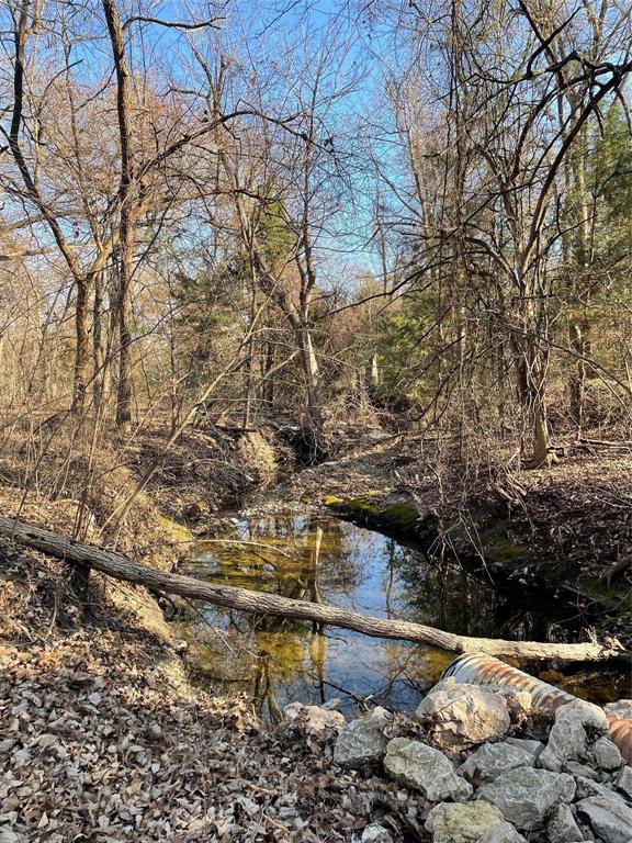 Hanse Hamilton - Land