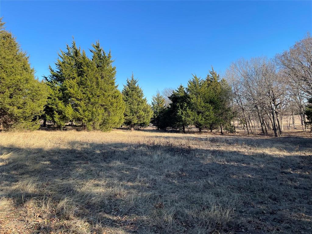 Hanse Hamilton - Land